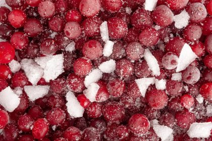 żurawina liofilizowana