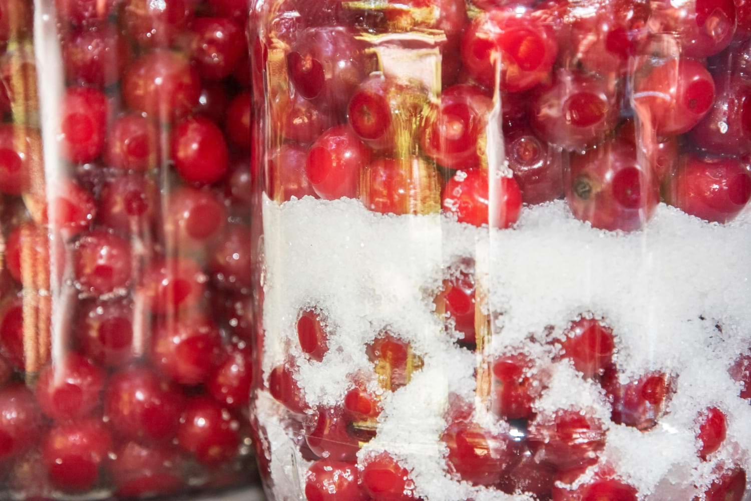 żurawina liofilizowana